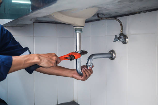 Best Plumbing Inspection Services  in Frankenmuth, MI