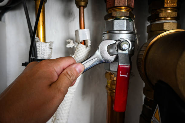 Best Same-Day Plumbing Service  in Frankenmuth, MI
